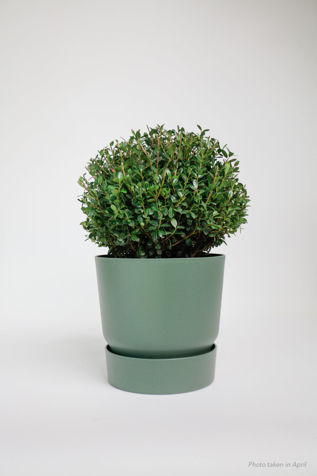 products/SotoProductShootLowQ-2016.jpg